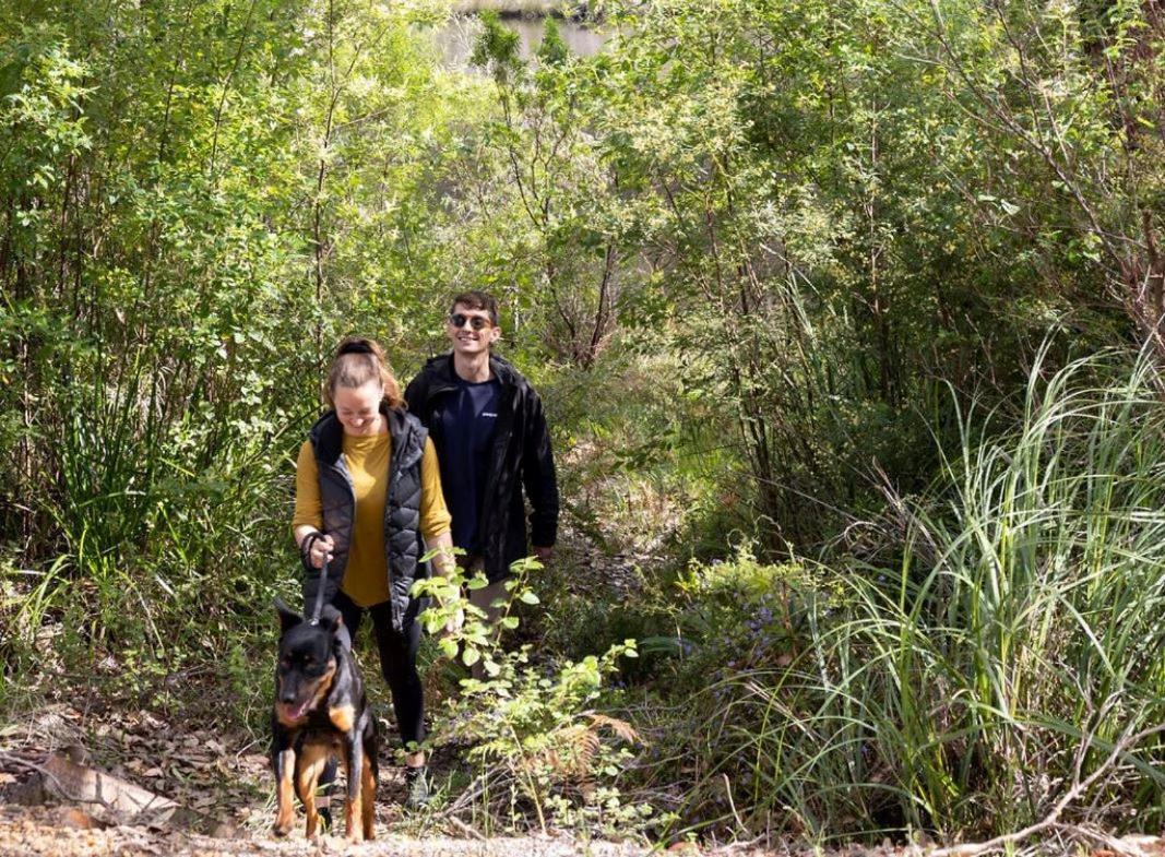 Nornalup Riverside Chalets מראה חיצוני תמונה